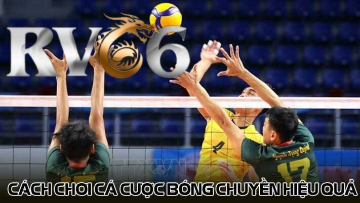 Cách chơi cá cược bóng chuyền hiệu quả